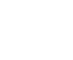 Narte