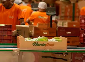 Controle de refugo no packinghouse