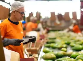 Inspeção de qualidade no packinghouse