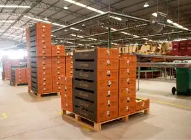 Montagem e pesagem de pallet no packinghouse