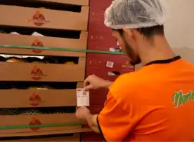 Vendas no packinghouse